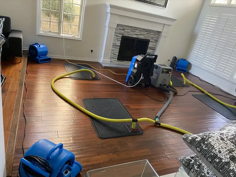Structural Drying and Dehumidification in Arlington, VA